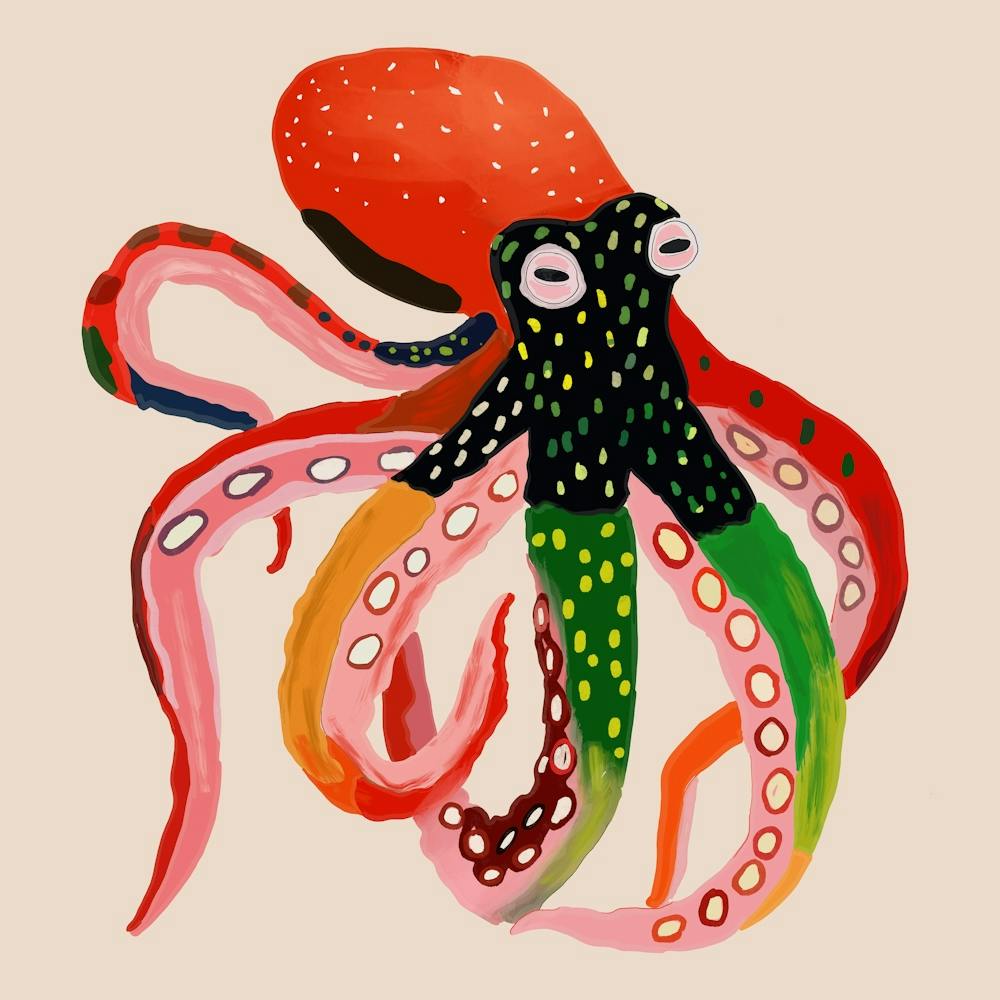 Colorful Octopus Ii