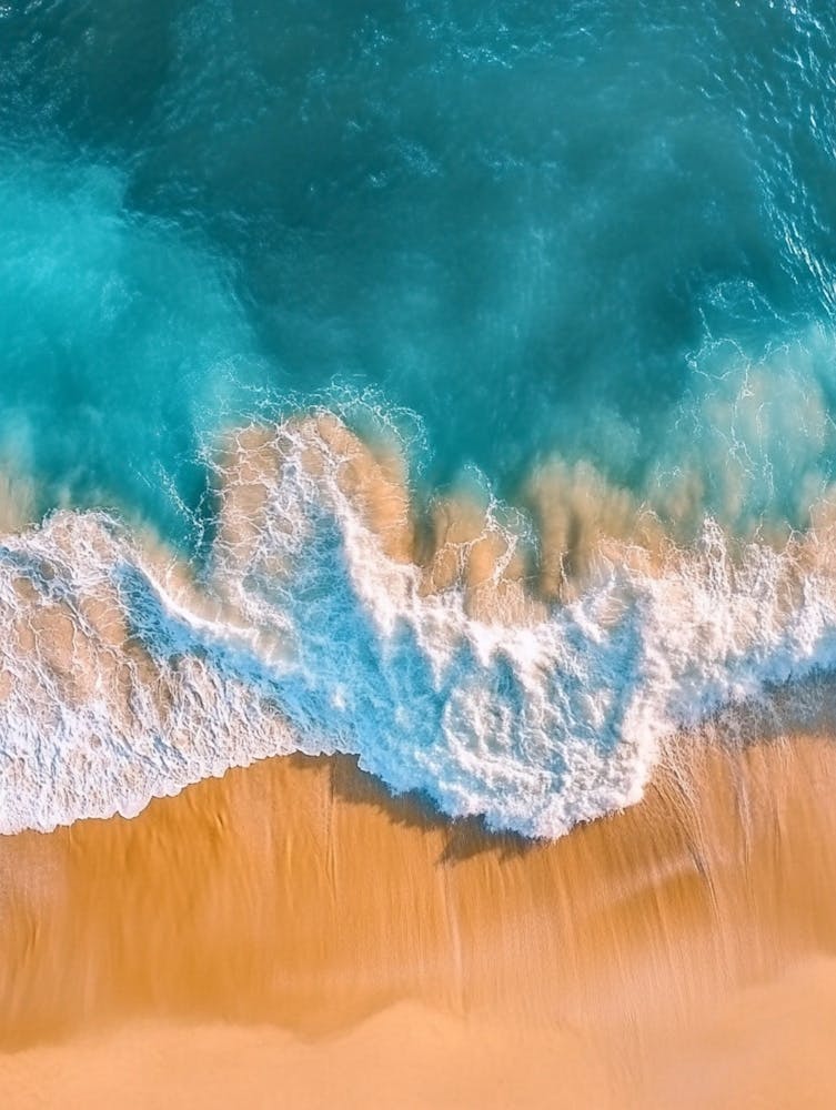 Aerial View Of A Beach 82