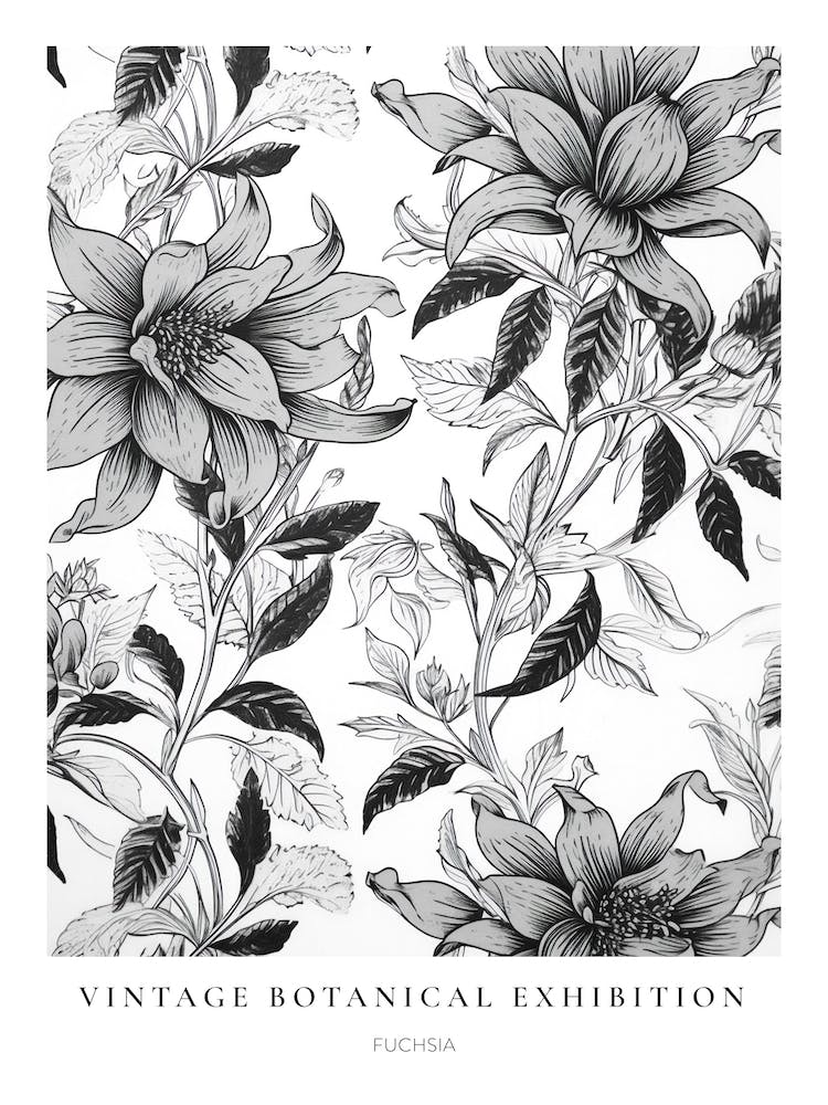 Fuchsia B&W Vintage Botanical Poster