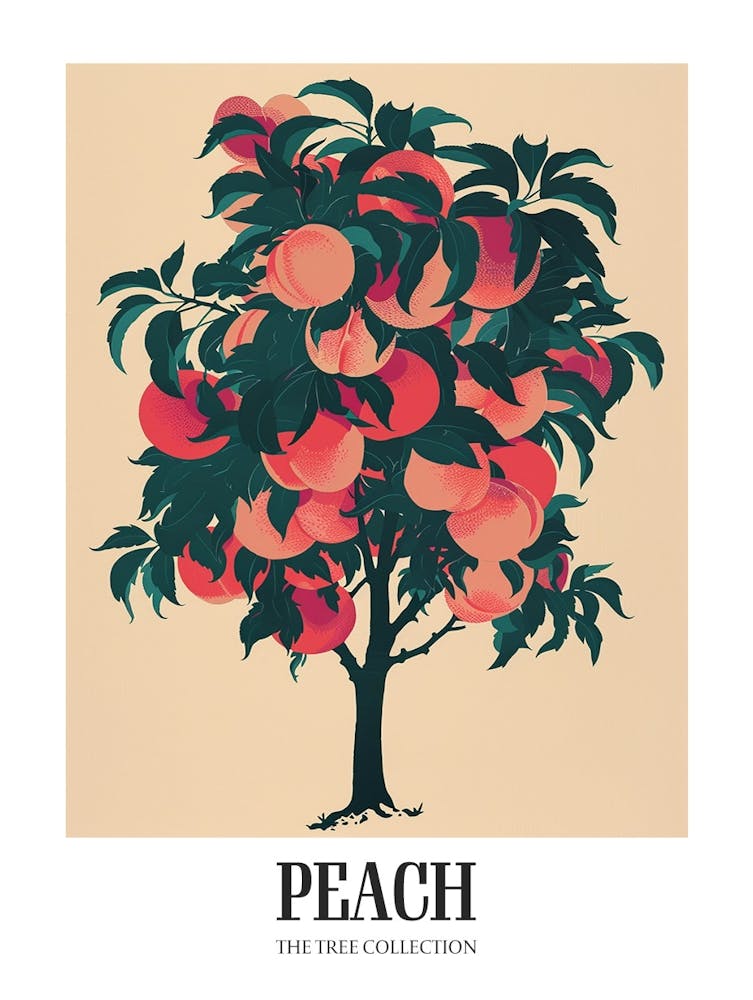 Peach Tree Colourful Illustration 4 Poster