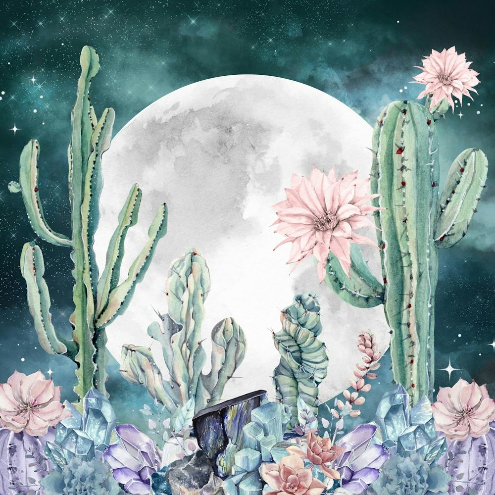 Desert Nights - Watercolor Cactus And Succulents