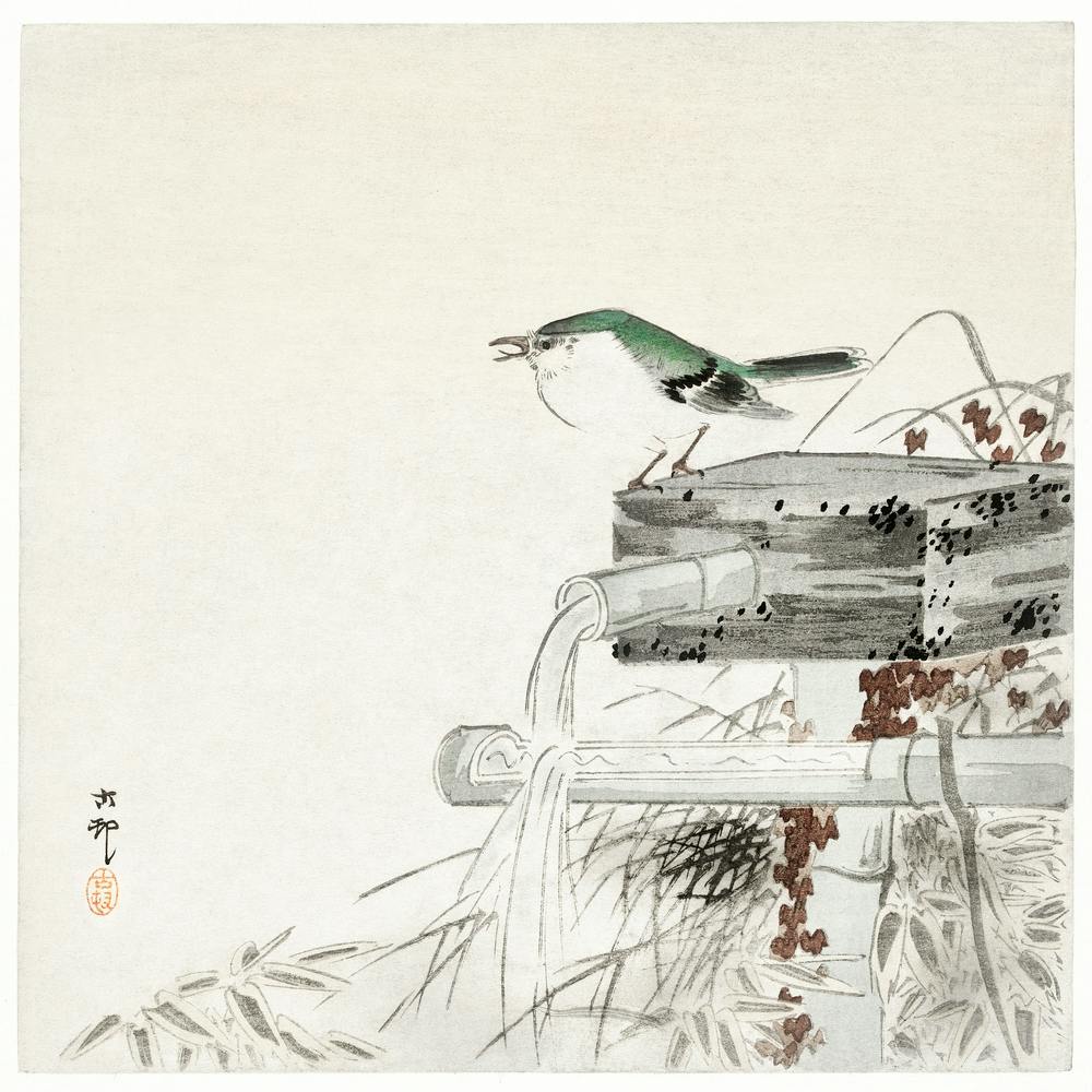 Rossignol Bleu (1900 1930), Ohara Koson