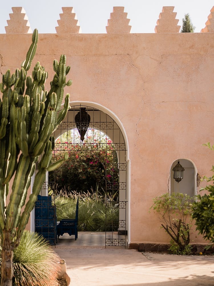 Cactus Garden In Morocco
