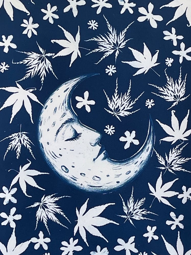 Moon And Flowers