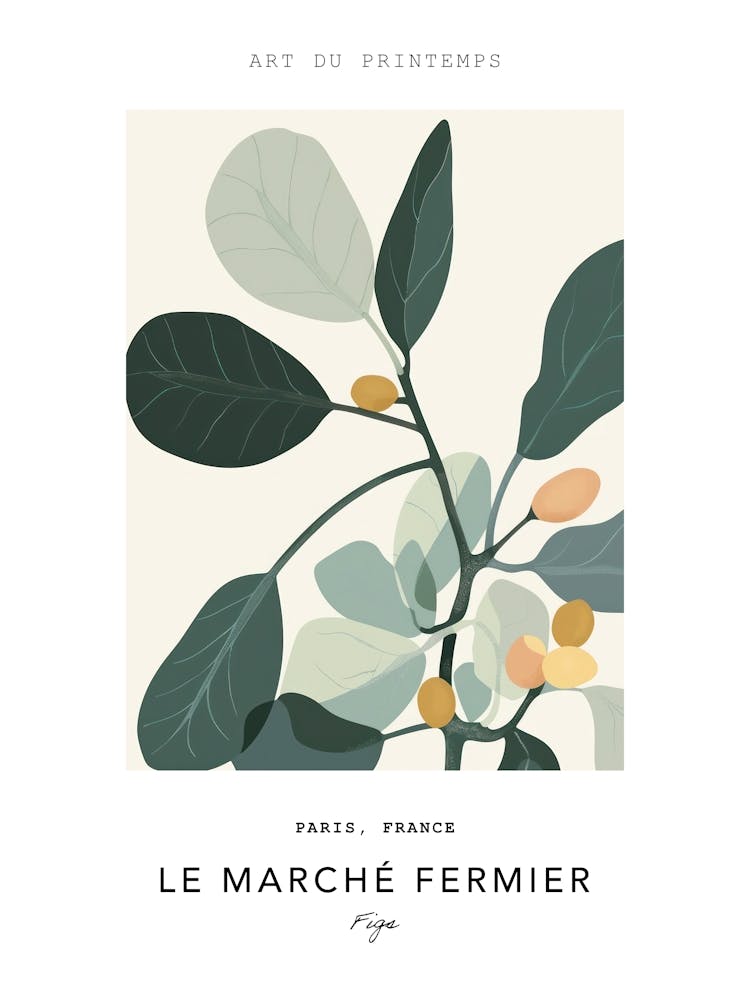 Figs Le Marche Fermier Poster 1