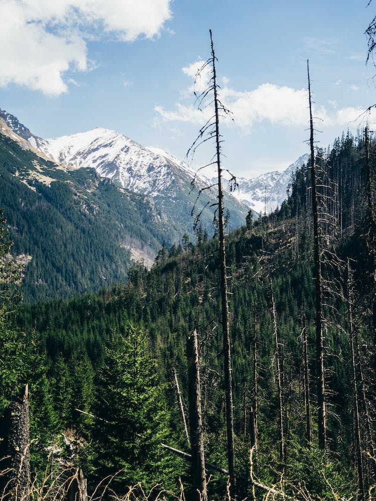 Spring Snow Mountains