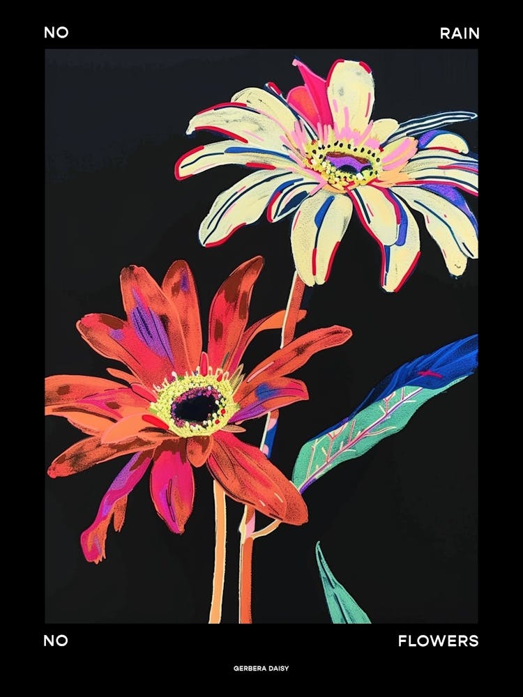 No Rain No Flowers Poster Gerbera Daisy 3