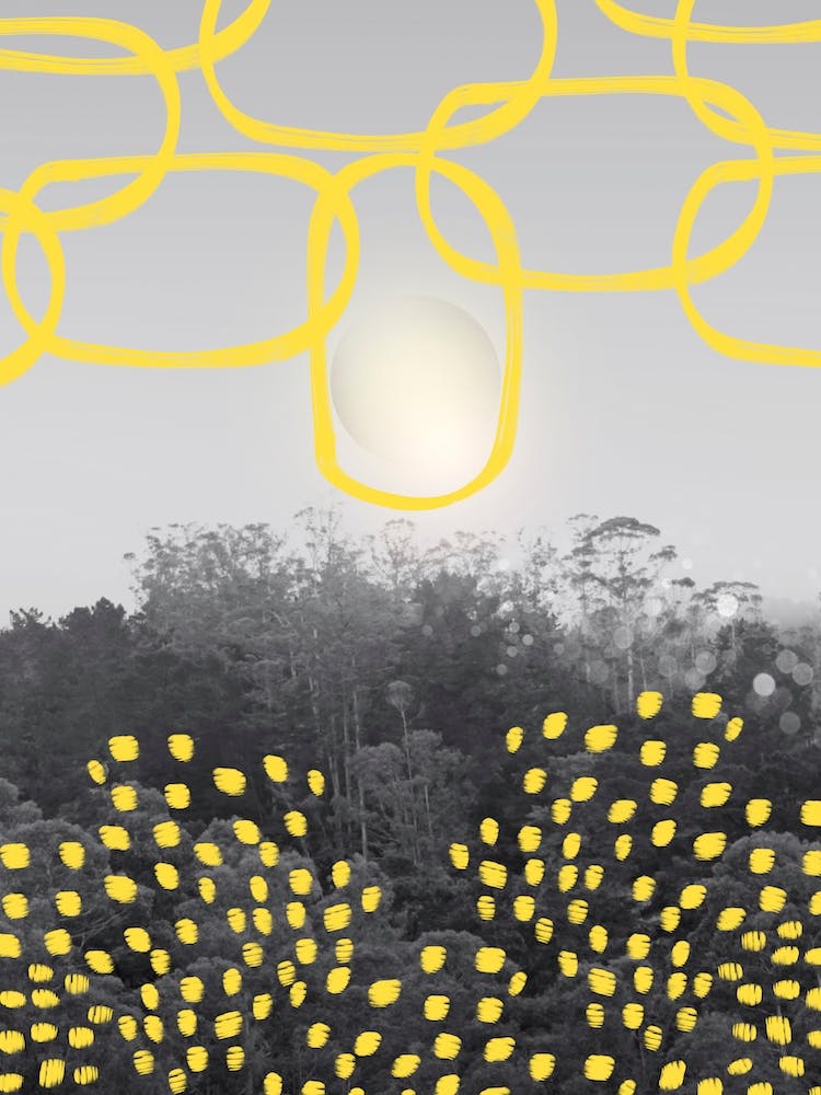 Forest With Yellow Shapes