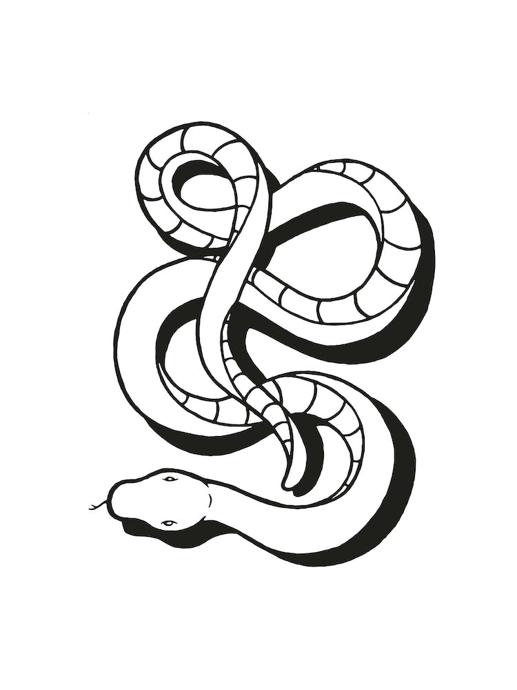 Snake