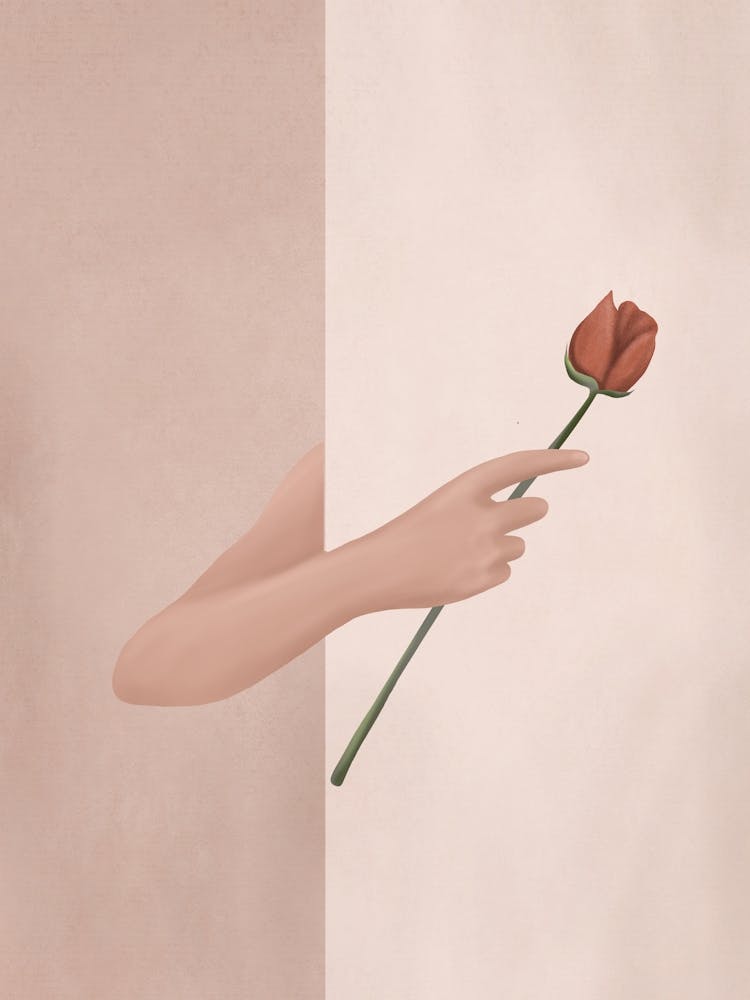 One Rose Flower