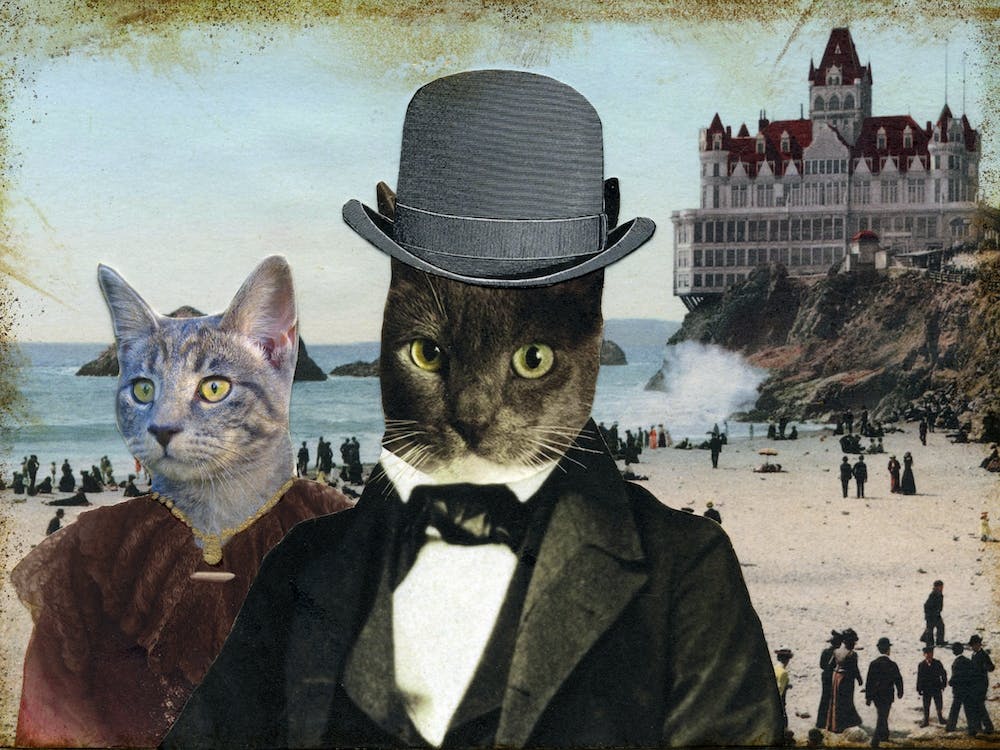 Mr Whiskers and Ms Prim