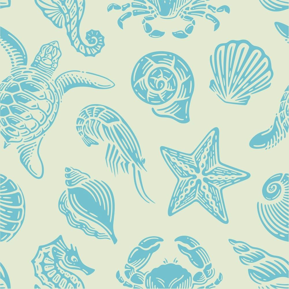 Sea Shells art print