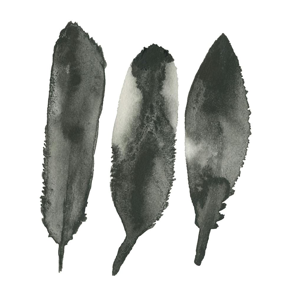 Feathered Stones