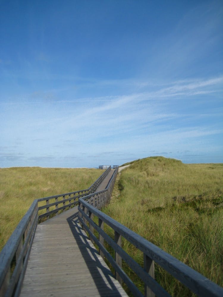 Promenade Vers La Plage