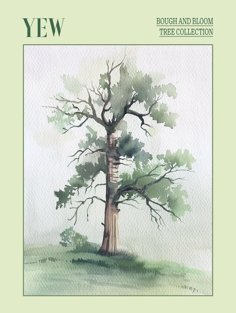 Yew Tree Atmospheric Watercolour Painting 4 Poster