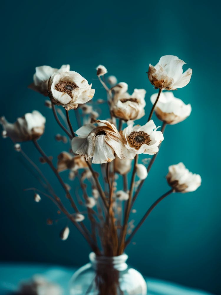 White Flowers and Turquoise Background