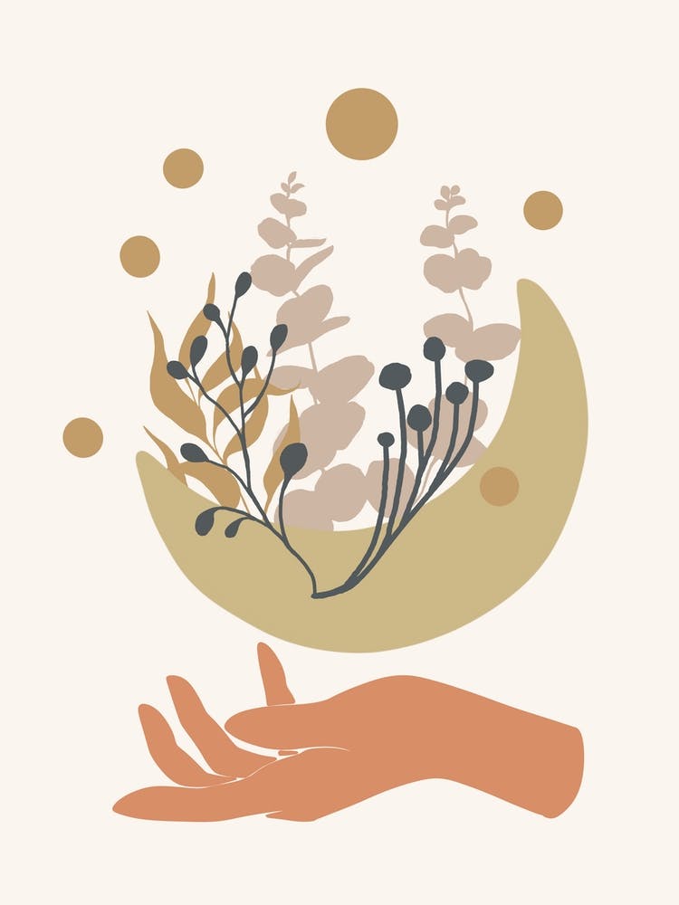 Hand Holding A Flower