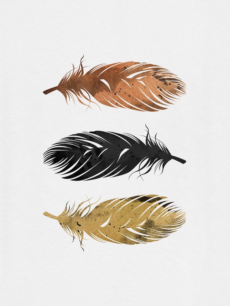 Feathers