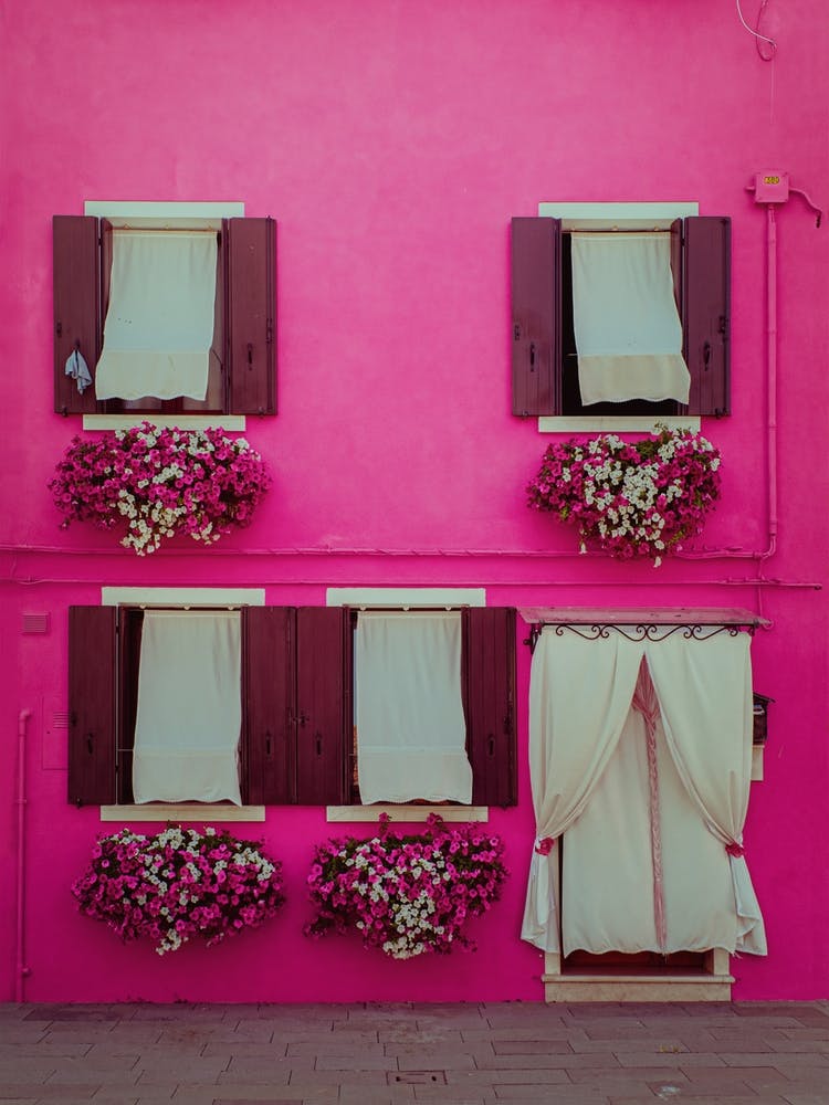 Purple Flowers House In Burano, Italy
