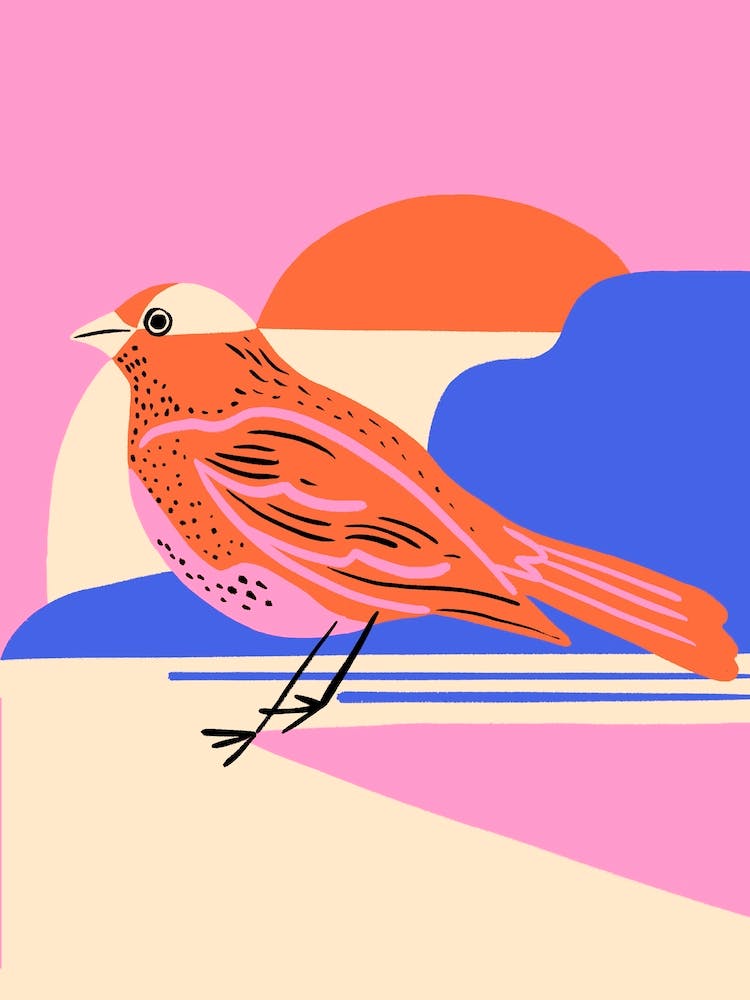 Modern Beach Bird