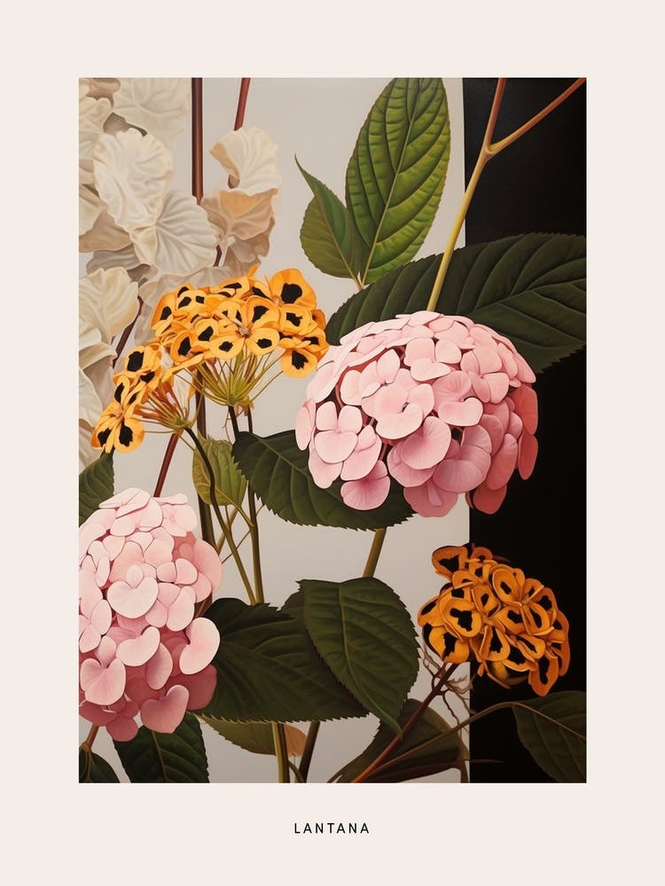 Flower Illustration Lantana 1 Poster