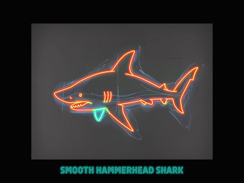 Orange Smooth Hammerhead Neon Shark 5 Poster