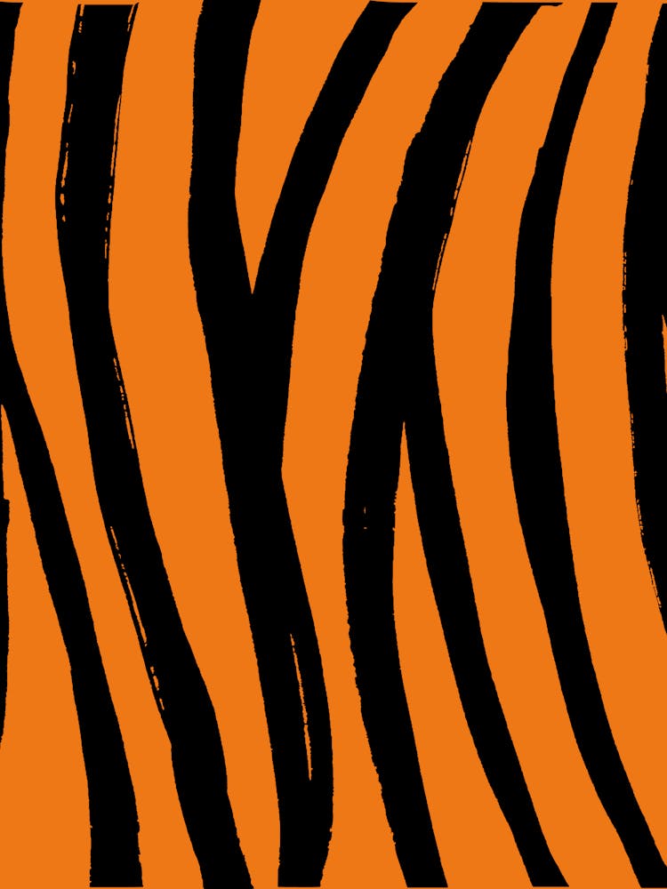 Tiger Stripes
