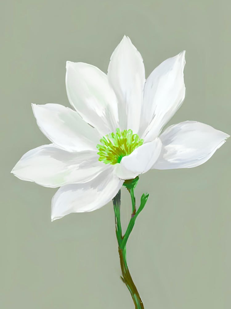 White Flower 2