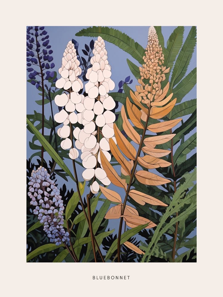 Flower Illustration Bluebonnet 3 Poster