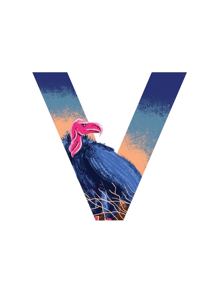 V Is For Vulture 