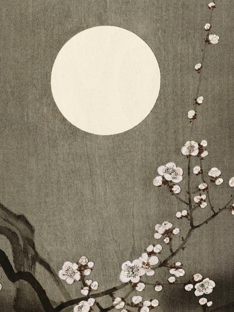 Asian Cherry Blossoms