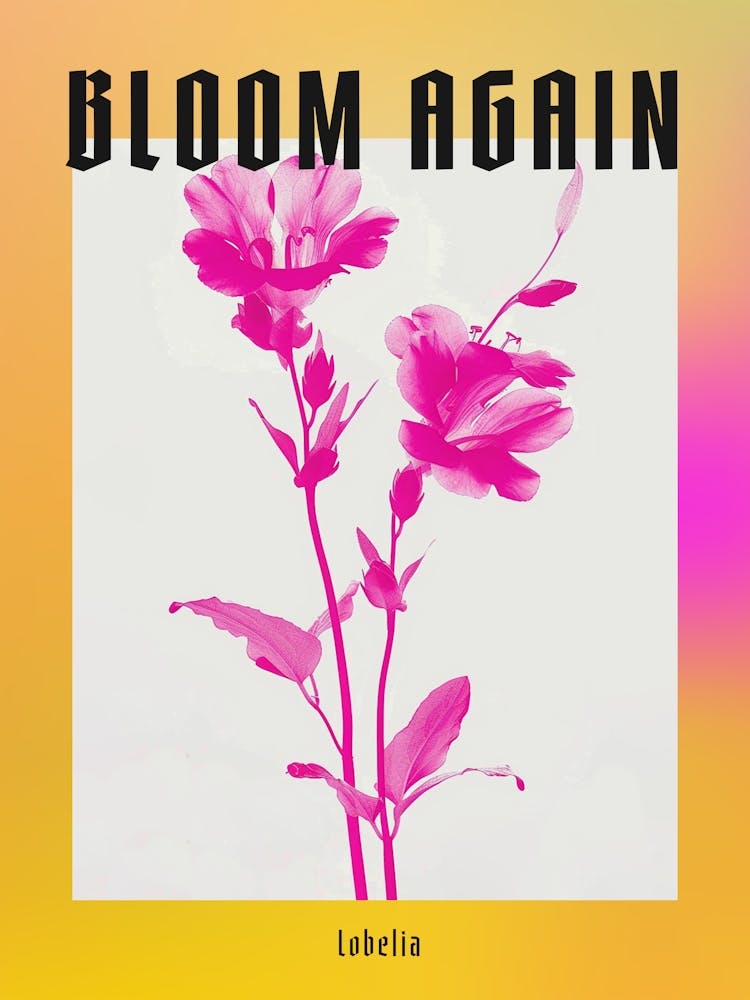 Hot Pink Lobelia 1 Poster