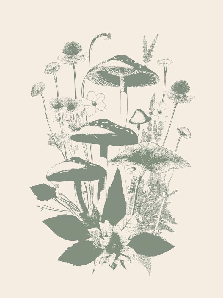 Mushrooms in Sage Green, y2k, Fungi, Cottage Core