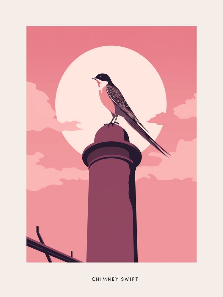 Minimalist Chimney Swift 3 Bird Poster