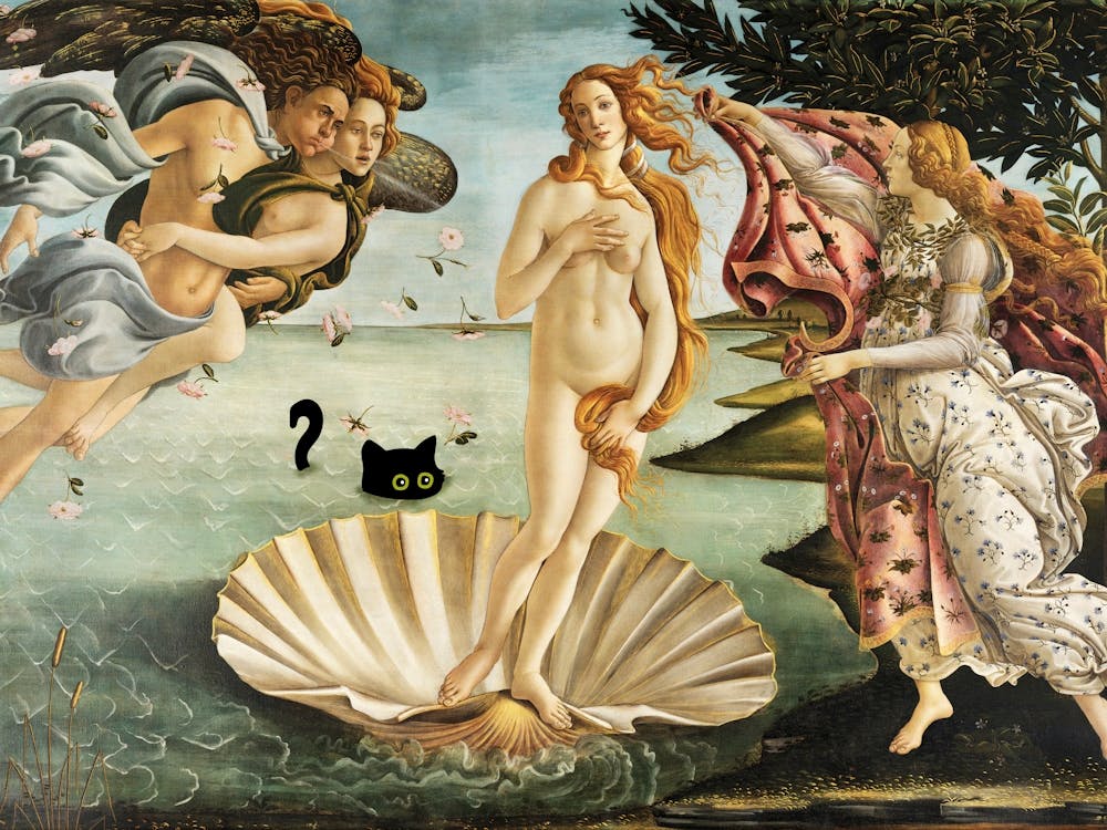 Black Cat Sandro Botticelli S The Birth Of Venus Landscape