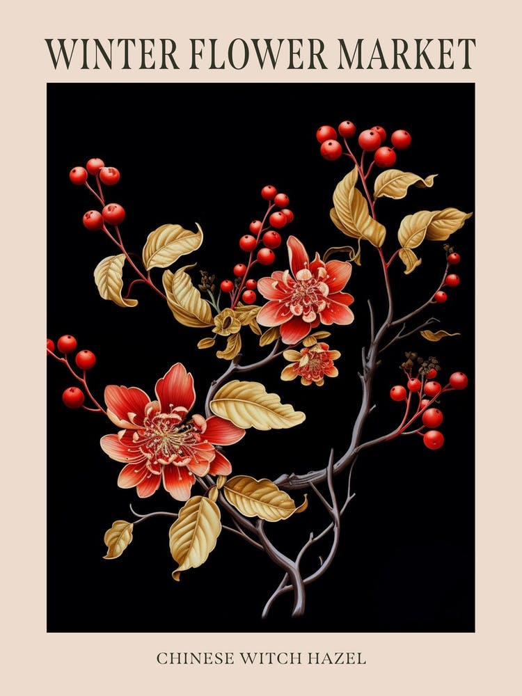 Chinese Witch Hazel 3 Winter Flower Market Poster