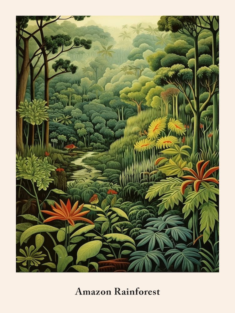 Amazon Rainforest