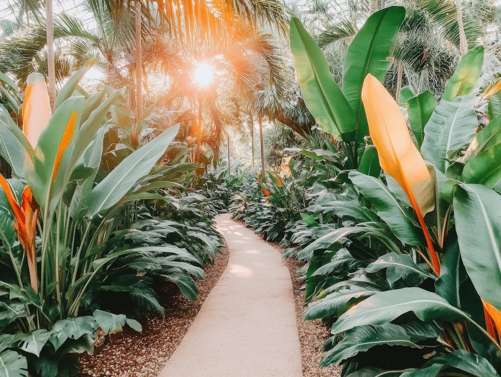Tropical Garden Path