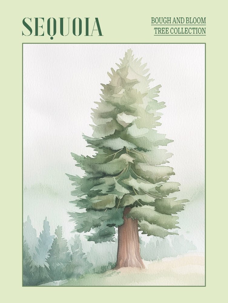 Sequoia Tree Atmospheric Watercolour Painting 3 Poster
