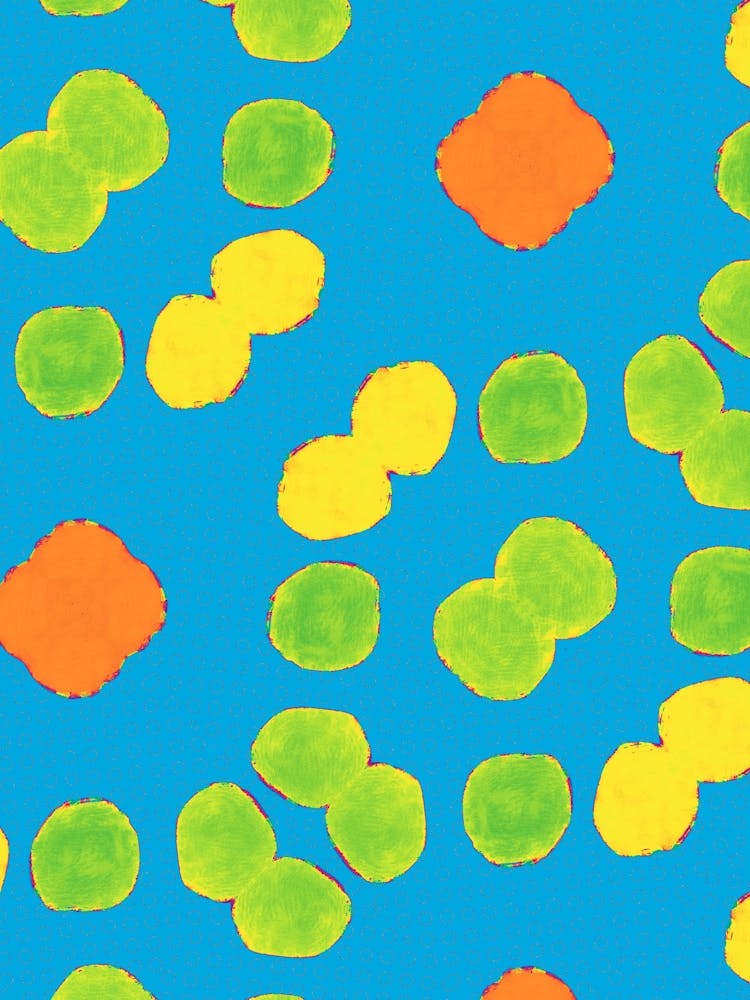 Berry Citrus