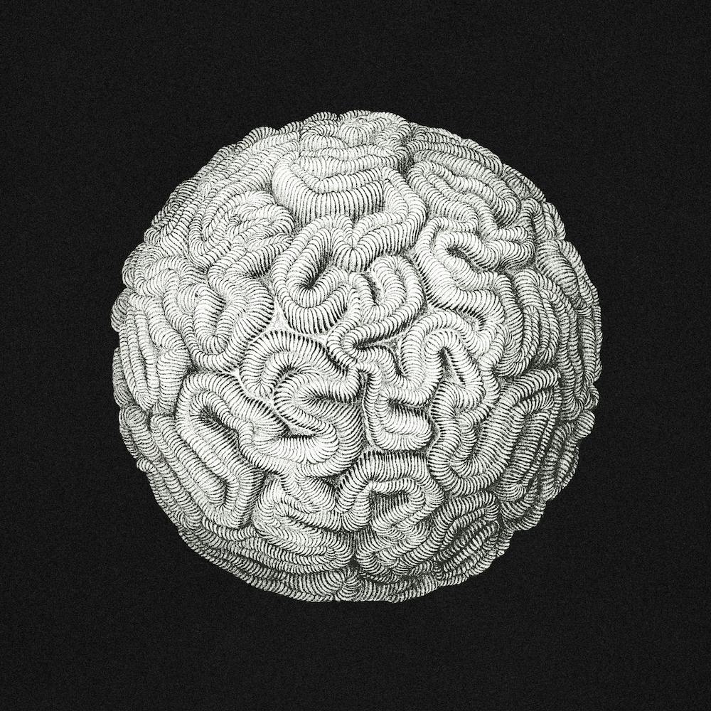 Corail Marin Vintage, Ernst Haeckel