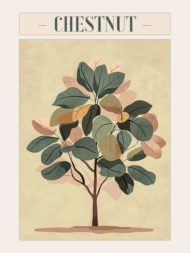 Chestnut Tree Minimal Japandi Illustration 2 Poster