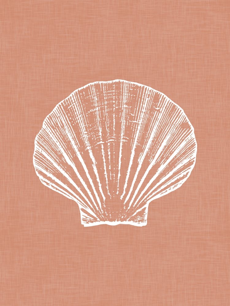 Vintage Sea Shell Silhouette In Terracota