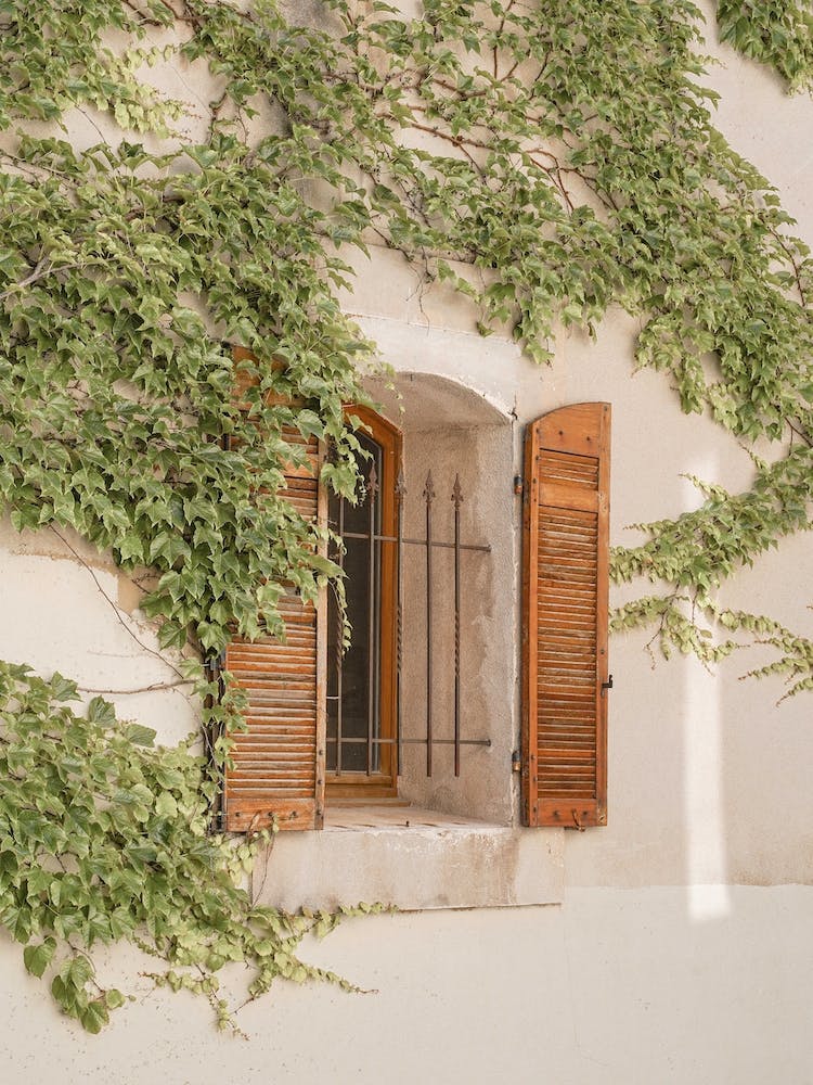 French Window Shutters