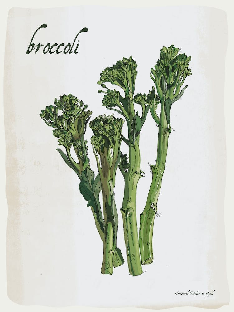 Broccoli Vintage illustration Print