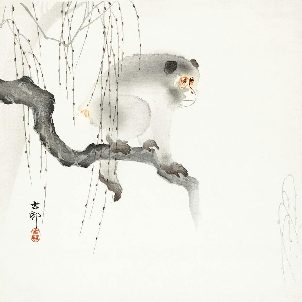 Monkey On A Tree Branch, Ohara Koson Vintage Japanese