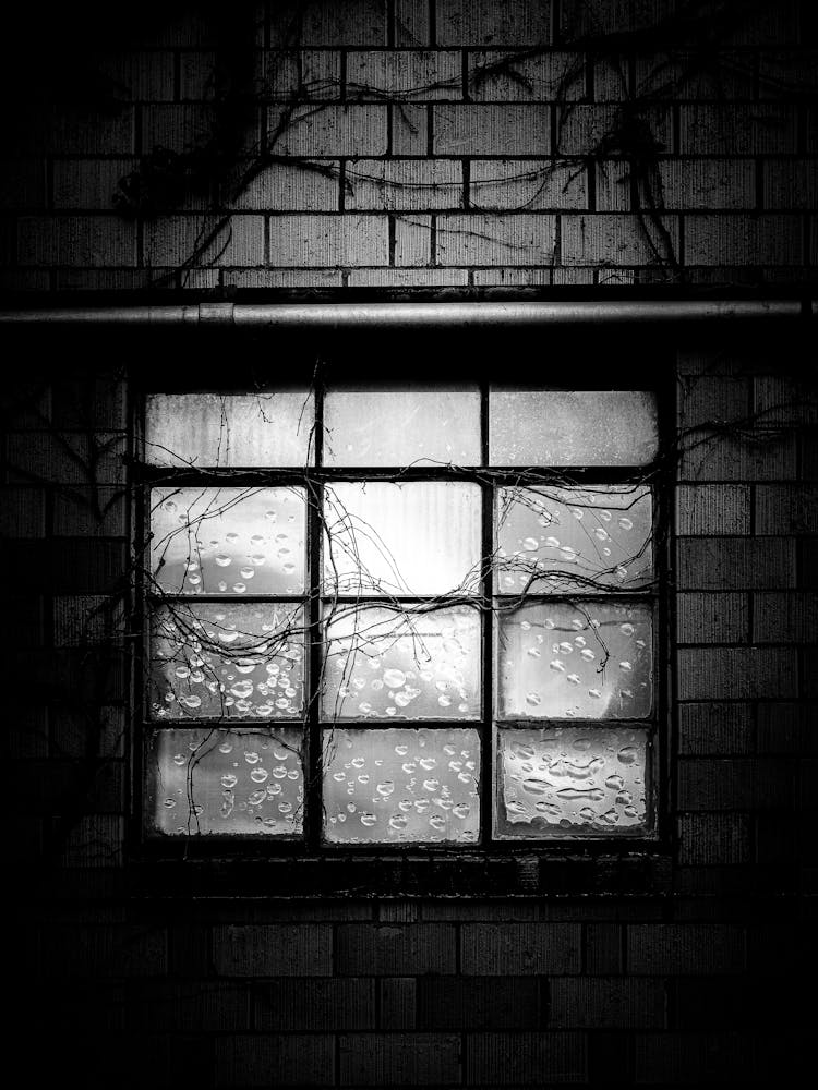 doubt set in Black & White