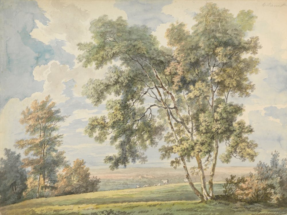 Birch Trees Vintage Painting