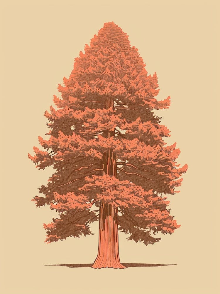 Redwood Tree Minimalistic Drawing 2