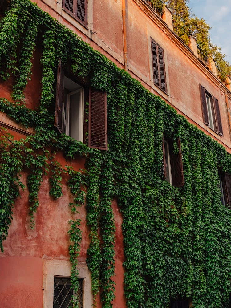 Roman Architecture IX